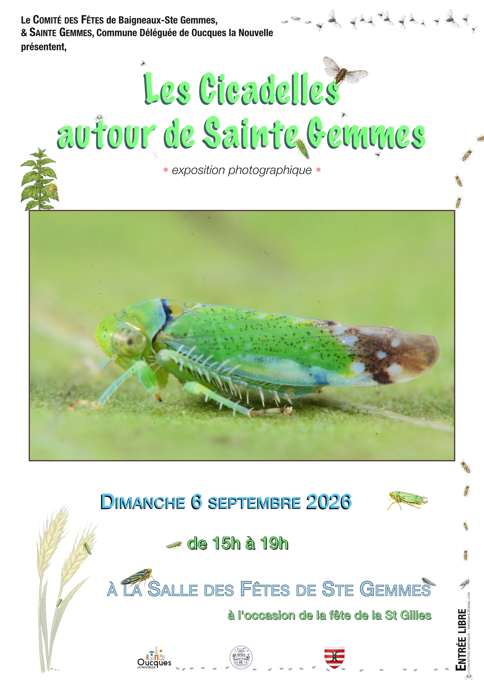 affiche expo cicadelles